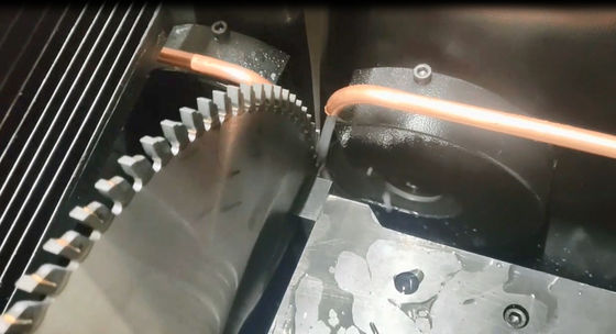 Torsel Máquina de afilado de sierra automática completa Industria de la madera